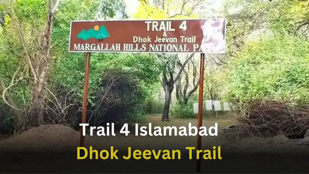 Trail 4 and Dhok Jeevan Start Point